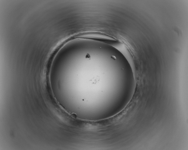 X0000114400346200910161320