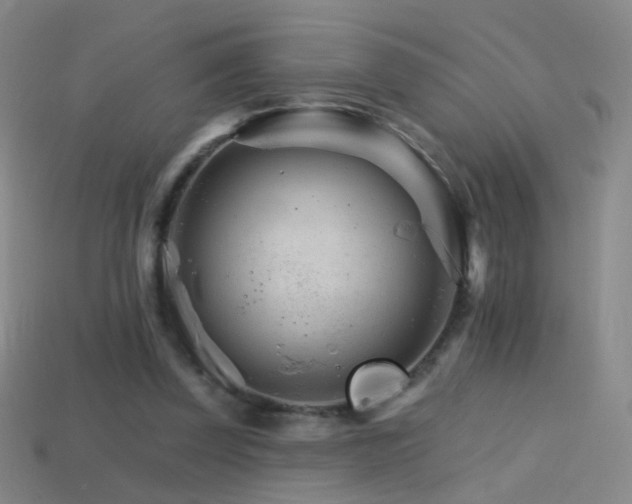 X0000114400347200910161320