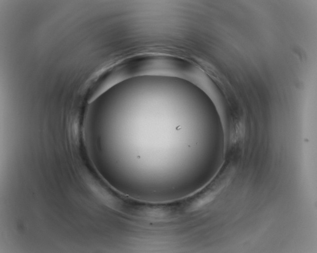 X0000114400349200910161320