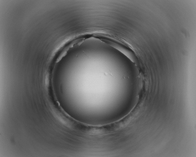 X0000114400350200910161320