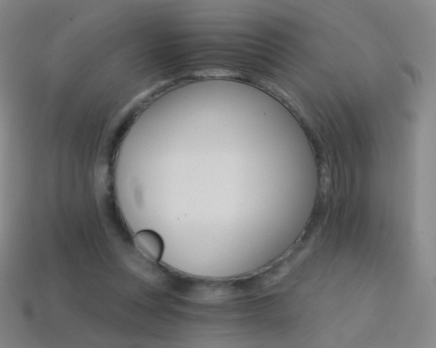 X0000114400351200910161320