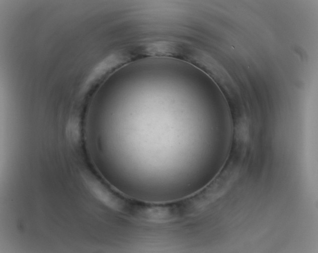 X0000114400353200910161320