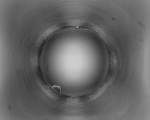 X0000114400354200910161320