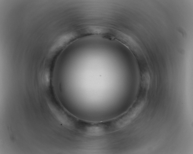 X0000114400358200910161320