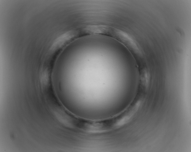 X0000114400359200910161320