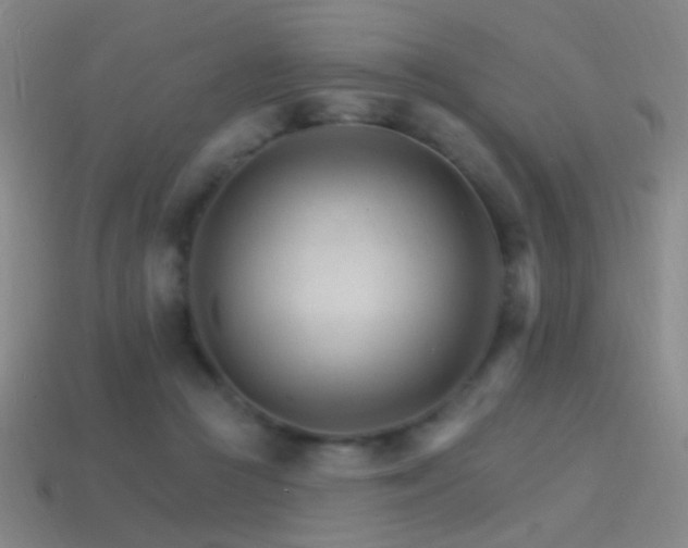 X0000114400361200910161320