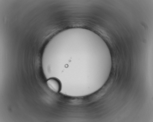 X0000114400362200910161320