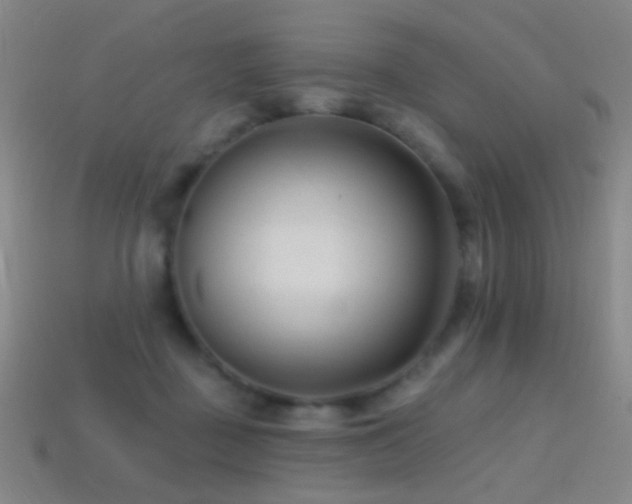 X0000114400363200910161320