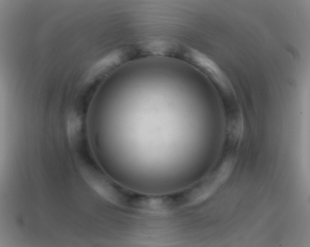 X0000114400365200910161320