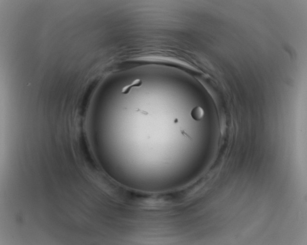 X0000114400366200910161320