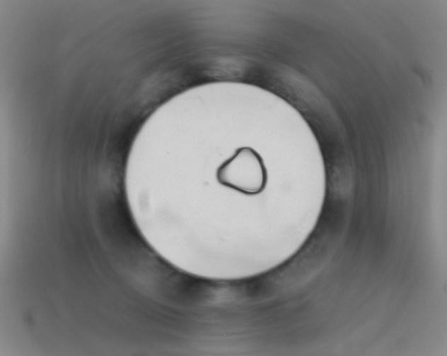 X0000114400370200910161320