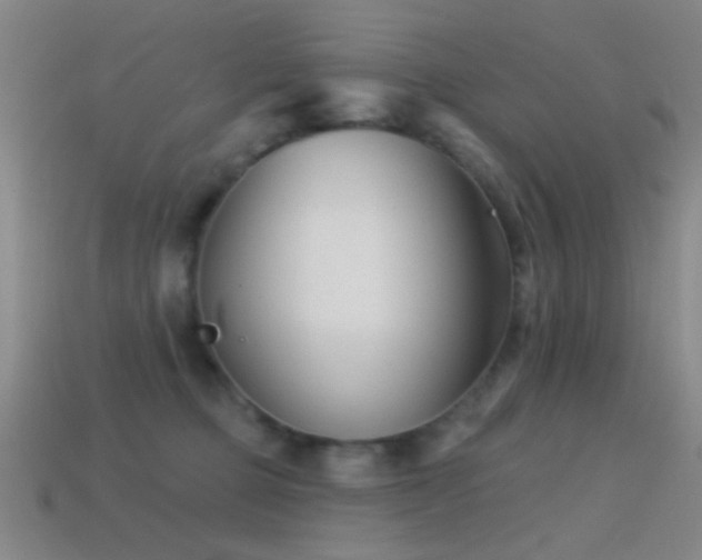 X0000114400373200910161320