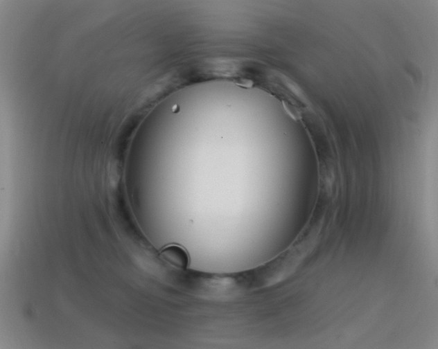 X0000114400374200910161320