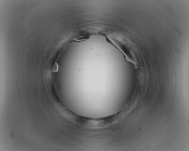 X0000114400375200910161320