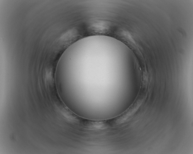 X0000114400377200910161320