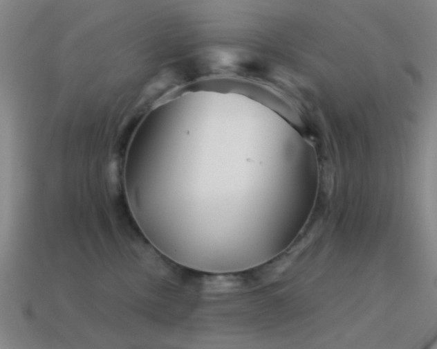 X0000114400378200910161320