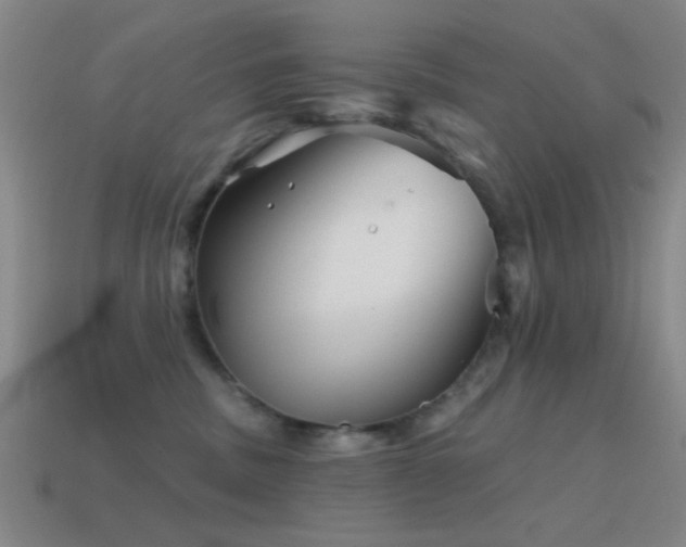 X0000114400379200910161320