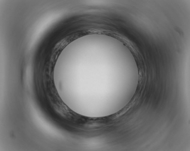 X0000114400381200910161320