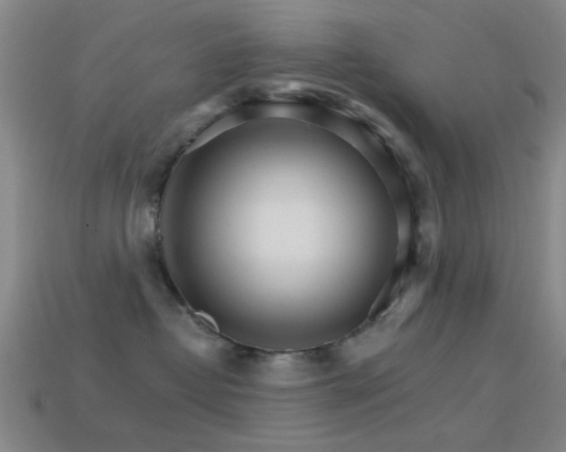 X0000114400382200910161320