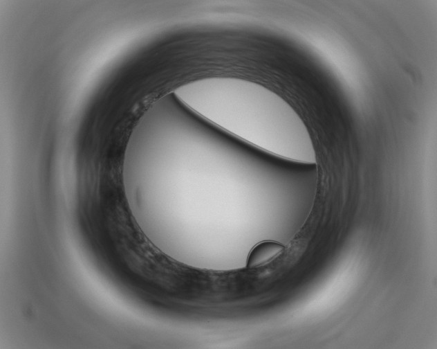 X0000114400383200910161320