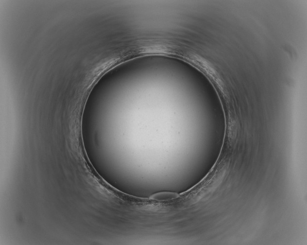 X0000114400385200910161320