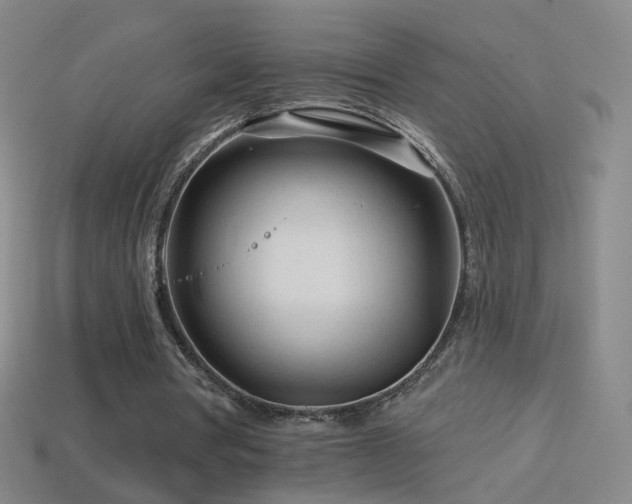 X0000114400386200910161320