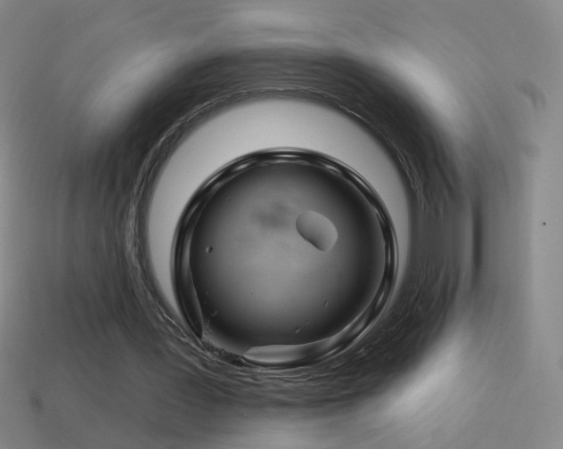 X0000114400387200910161320