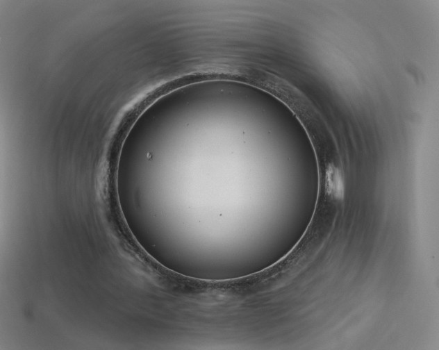 X0000114400388200910161320