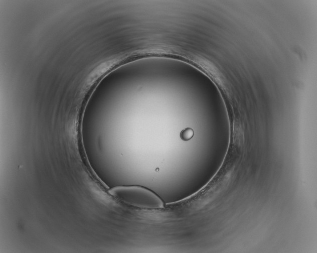 X0000114400389200910161320