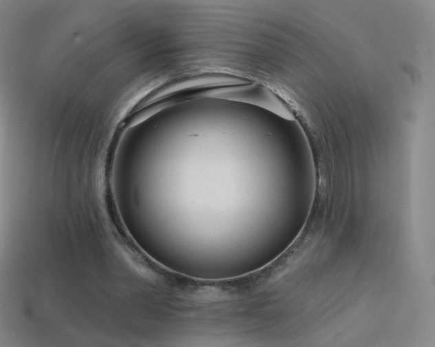 X0000114400390200910161320