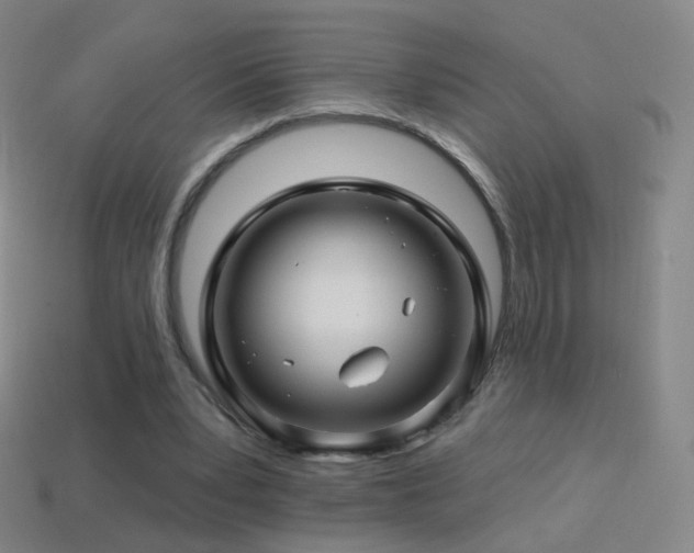 X0000114400391200910161320