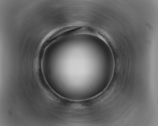 X0000114400392200910161320