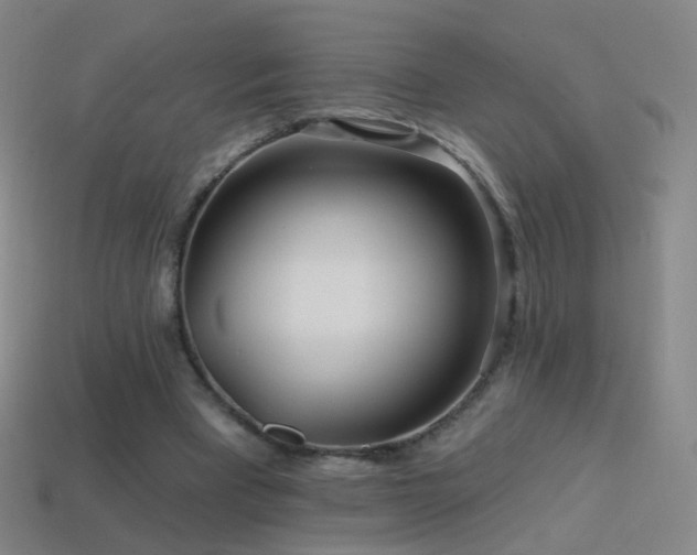 X0000114400393200910161320