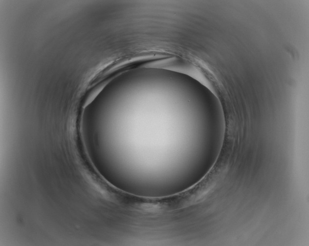 X0000114400394200910161320