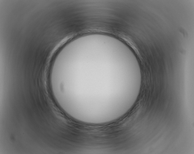 X0000114400395200910161320