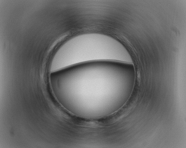 X0000114400396200910161320