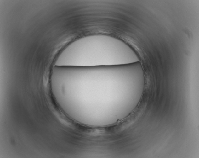 X0000114400398200910161320