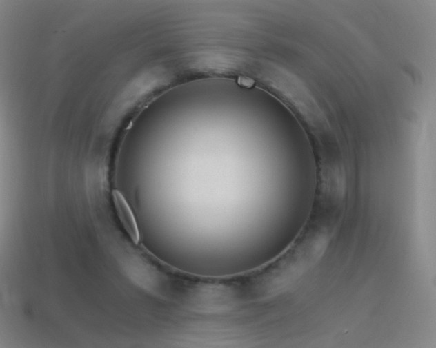 X0000114400399200910161320