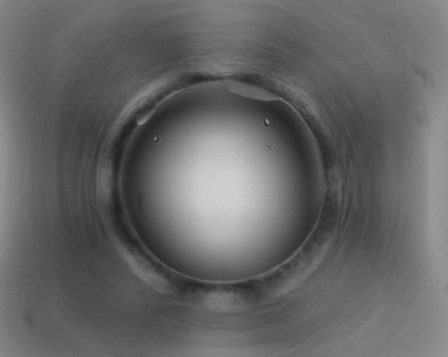 X0000114400400200910161319