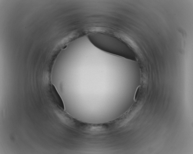 X0000114400401200910161319