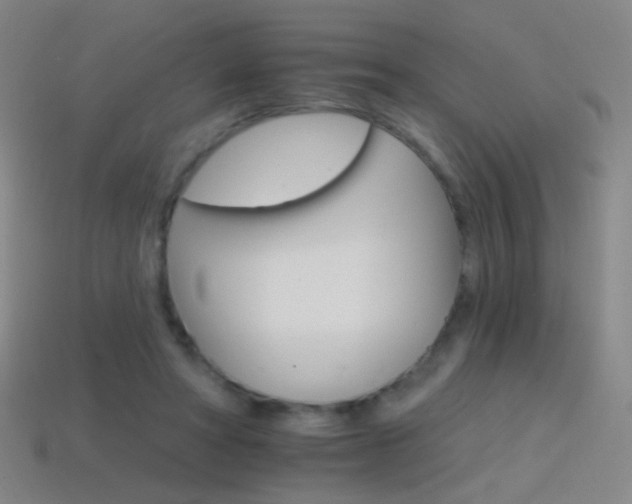 X0000114400402200910161319