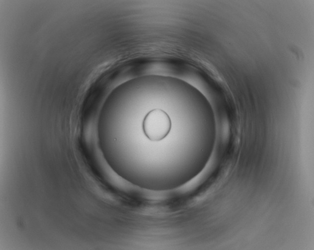 X0000114400403200910161319