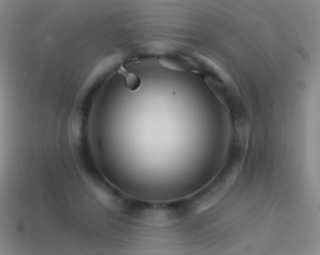 X0000114400404200910161319