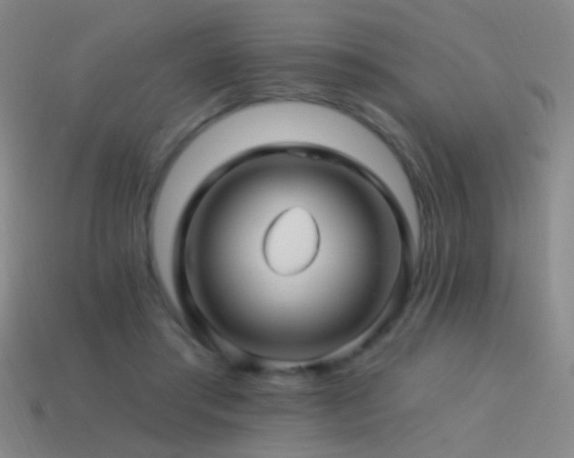 X0000114400405200910161319