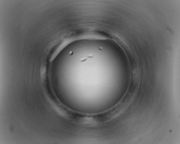 X0000114400406200910161319