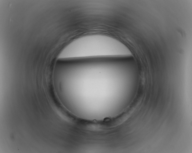 X0000114400408200910161319