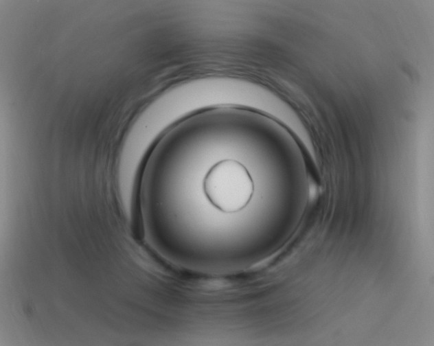 X0000114400409200910161319