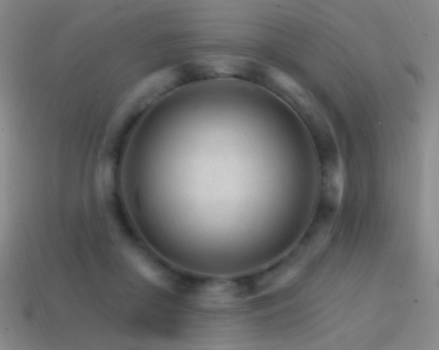 X0000114400410200910161319