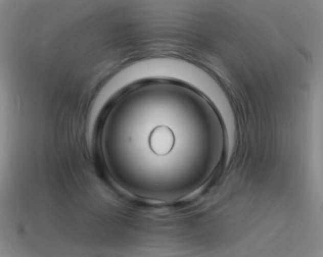 X0000114400411200910161319