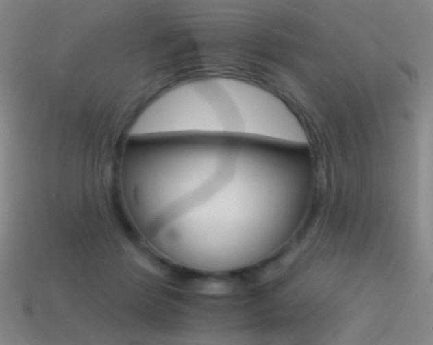 X0000114400412200910161319